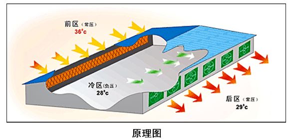 濕簾降溫系統